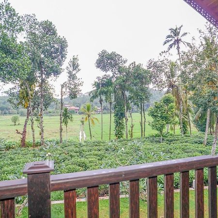 Villa Peacock Walahanduwa Номер фото