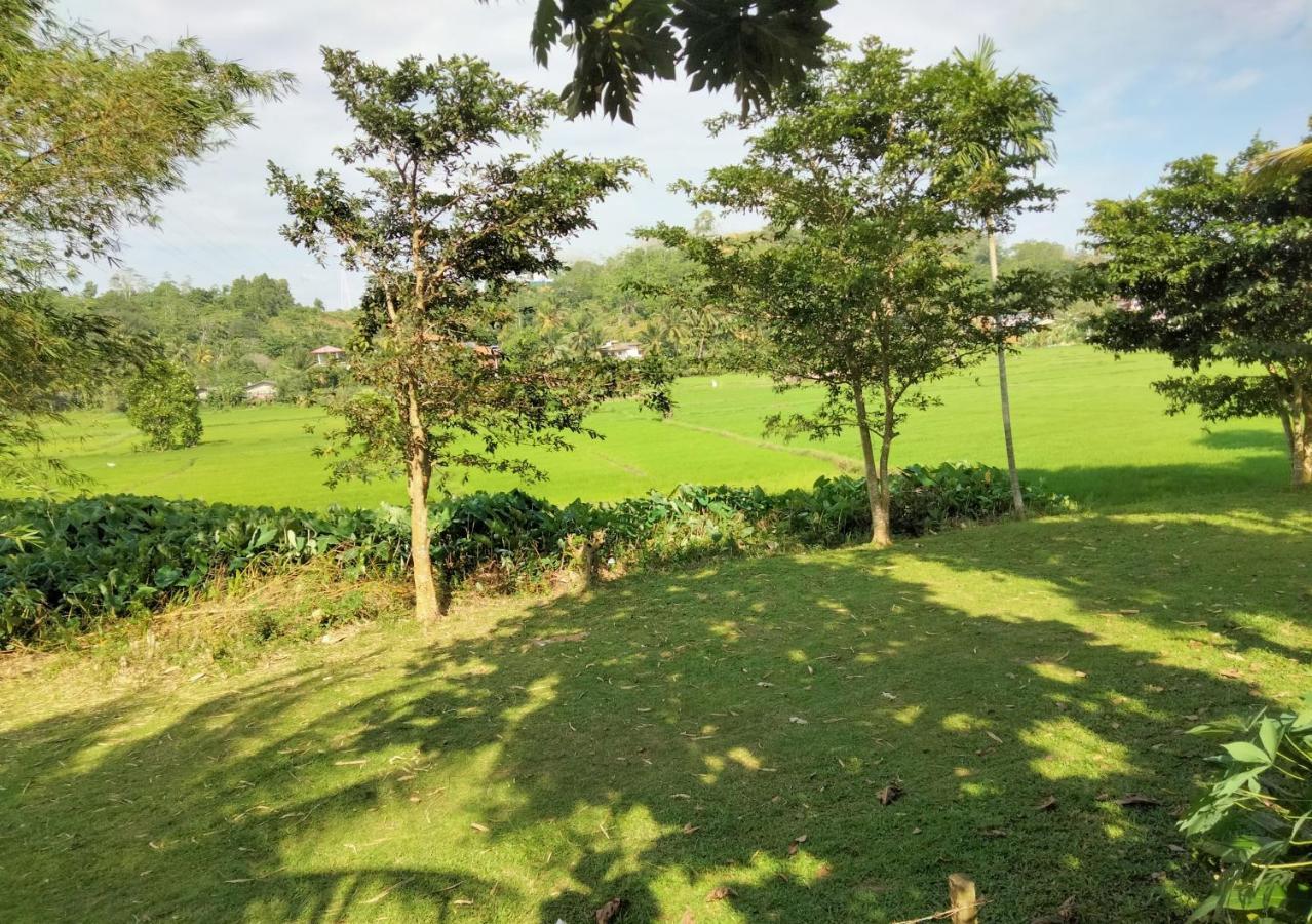 Villa Peacock Walahanduwa Экстерьер фото